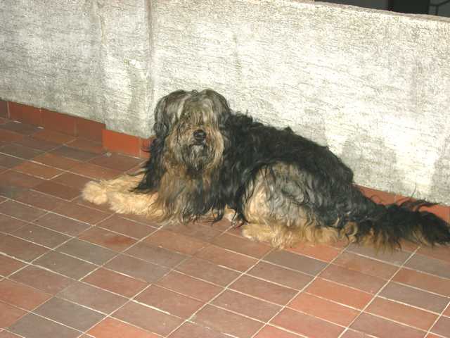 arni_09_06.jpg