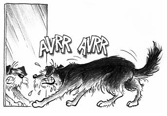 avrrr.jpg